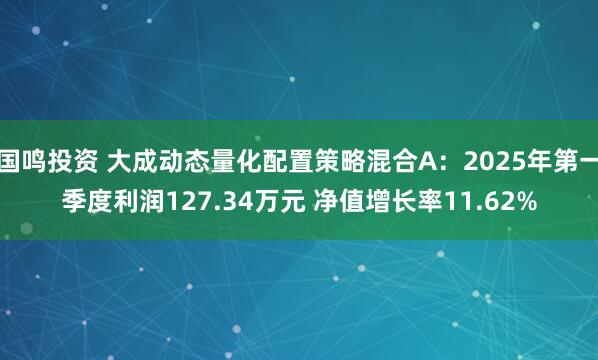 国鸣投资 大成动态量化配置策略混合A：2025年第一季度利润127.34万元 净值增长率11.62%