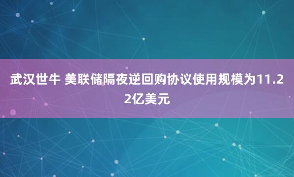 武汉世牛 美联储隔夜逆回购协议使用规模为11.22亿美元